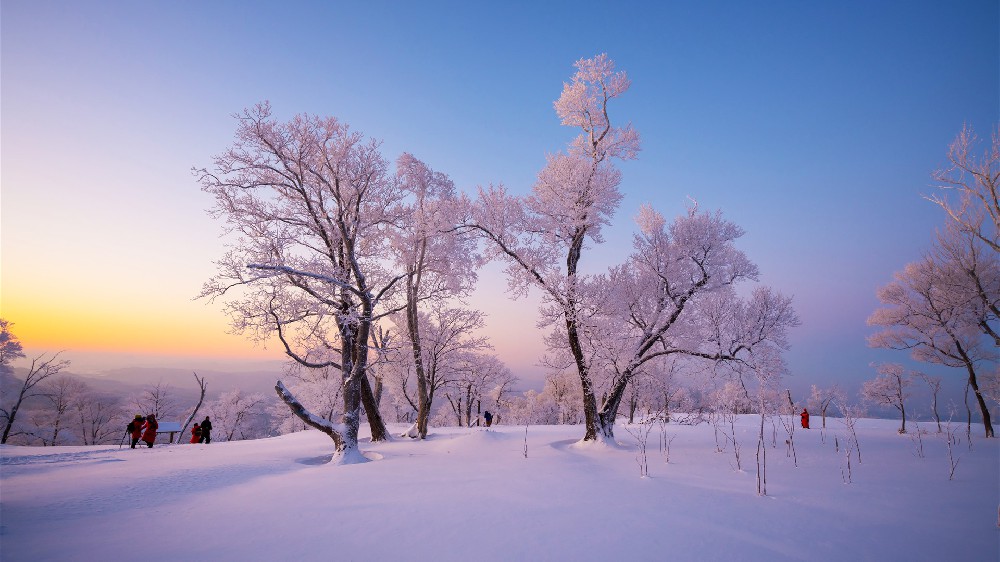 寒冷的冬天，大雪，2022，银装素裹，日落，5k照片桌布