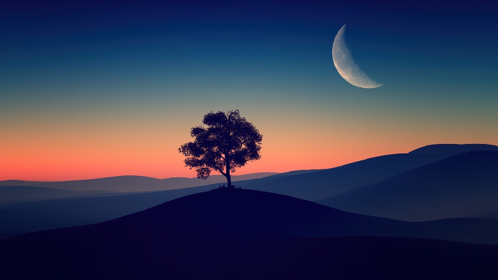一轮弯月山坡上一棵树夜幕降临前的唯美风景壁纸4k