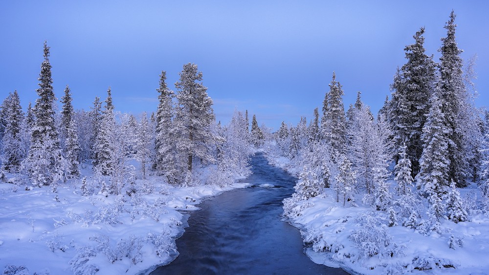 雪景树林小溪高清风景电脑壁纸4k