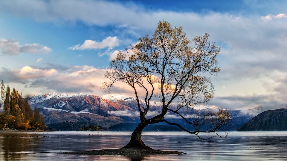 万纳卡湖WANAKA孤独的树高清风景电脑壁纸5K
