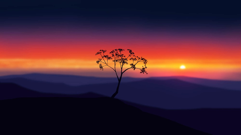 夕阳西下、前景景深、层次分明唯美风景电脑壁纸4k