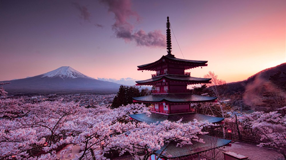 樱花亭子富士山高清唯美风景电脑壁纸8k