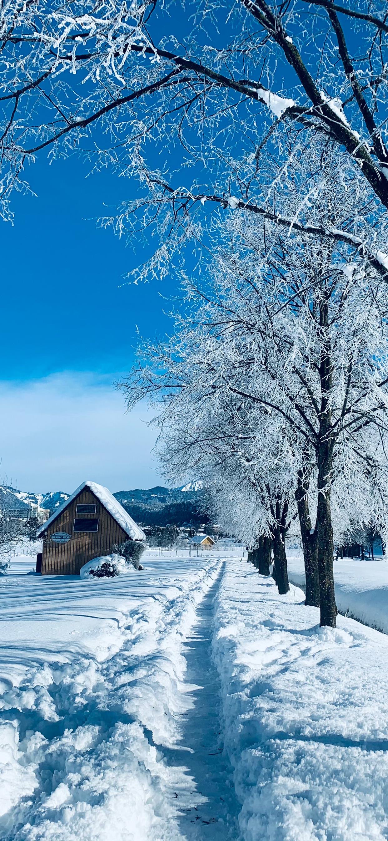 冬日美丽雪景4k高清手机壁纸