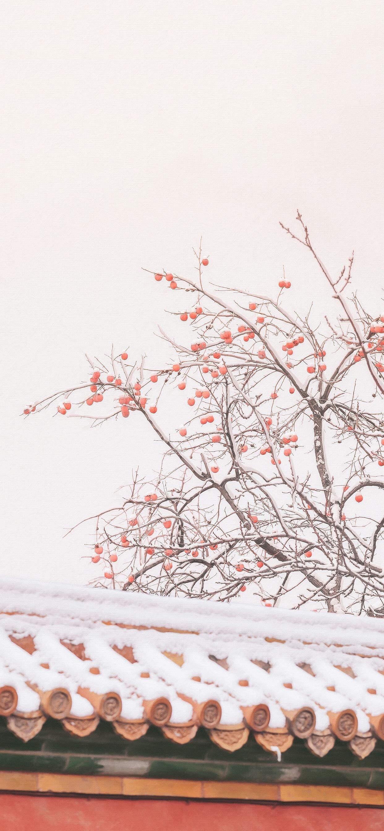 故宫的雪,房檐,墙头,树.jpg