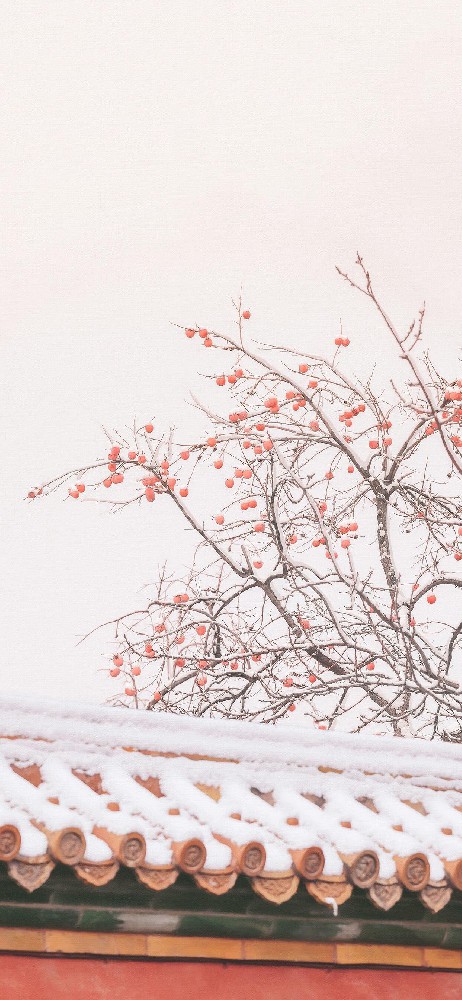 故宫的雪,房檐,墙头,树